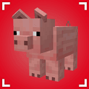 Remodeled Pigs