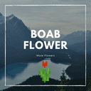 Boab Flowers