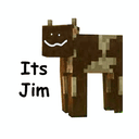 itsjim