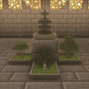 Bonsai Trees Default HD