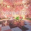 Aesthetic MC!