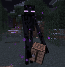 Endermanage