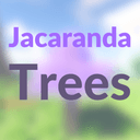 Jacaranda Trees