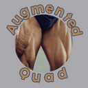 Augmented Quad