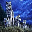 The Wolf Den Pack(discontenued )