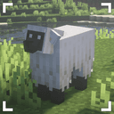 Remodeled Sheep