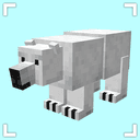 Remodeled Polarbears