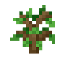 Origins Immersion: Floran