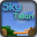 Sky Tekin