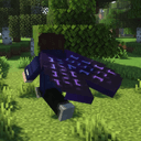 Elytra Physics