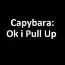 Capybara : Ok I Pull Up