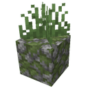 Placeable Plants