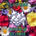 Flowers: Doom & Bloom