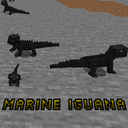 Marine Iguana