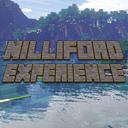 Nilliford Experience