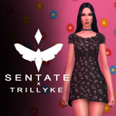 Lena Dress and Top - Sentate x Trillyke