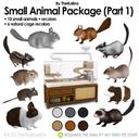 Small Animal Package Part 1