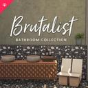 Brutalist Bathroom