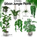 Urban Jungle Plants