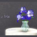 set Iris