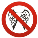 FlyRestrictions