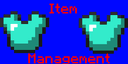 Item Management