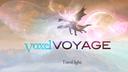 VoxelVoyage