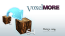 VoxelMore