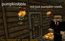 PumpkiNibble