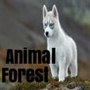 Animal Forest